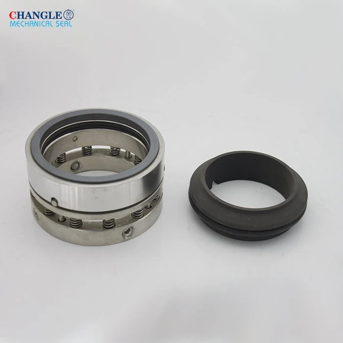 Multi Spring Mechanical Seal